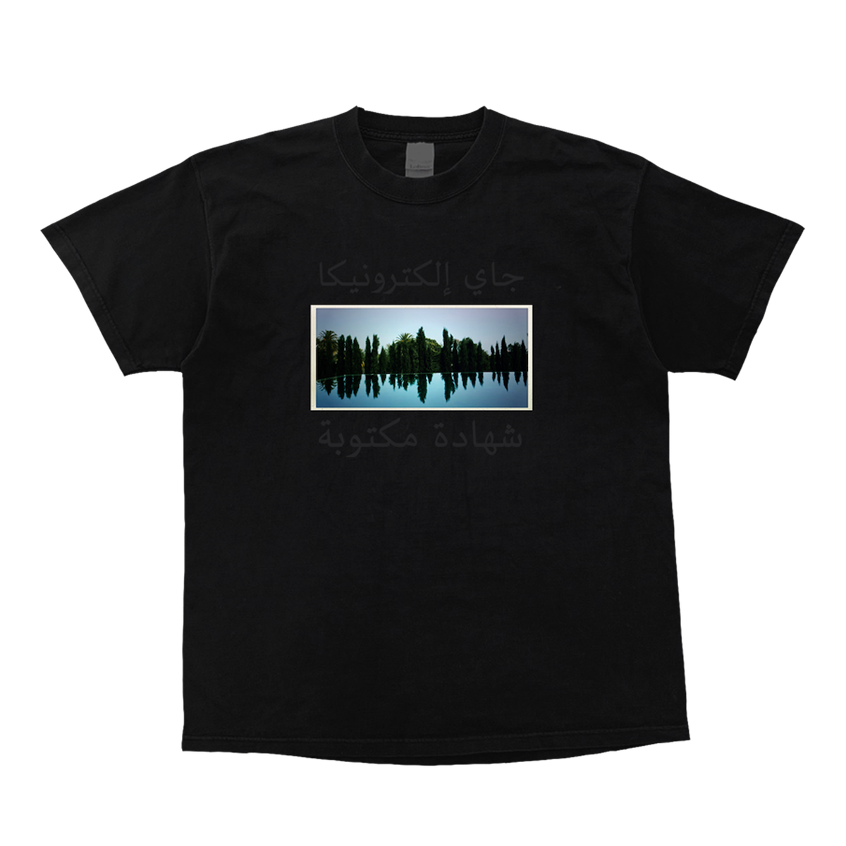 J A Y E L E C T R O N I C A: A Written Testimony - Tee (Black)