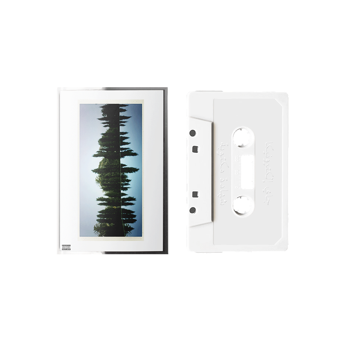 J A Y E L E C T R O N I C A: A Written Testimony - Cassette (White)