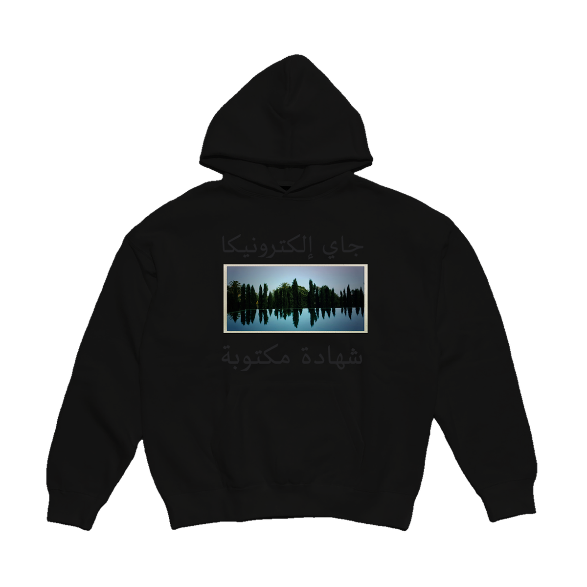 J A Y E L E C T R O N I C A: A Written Testimony - Hoodie (Black)