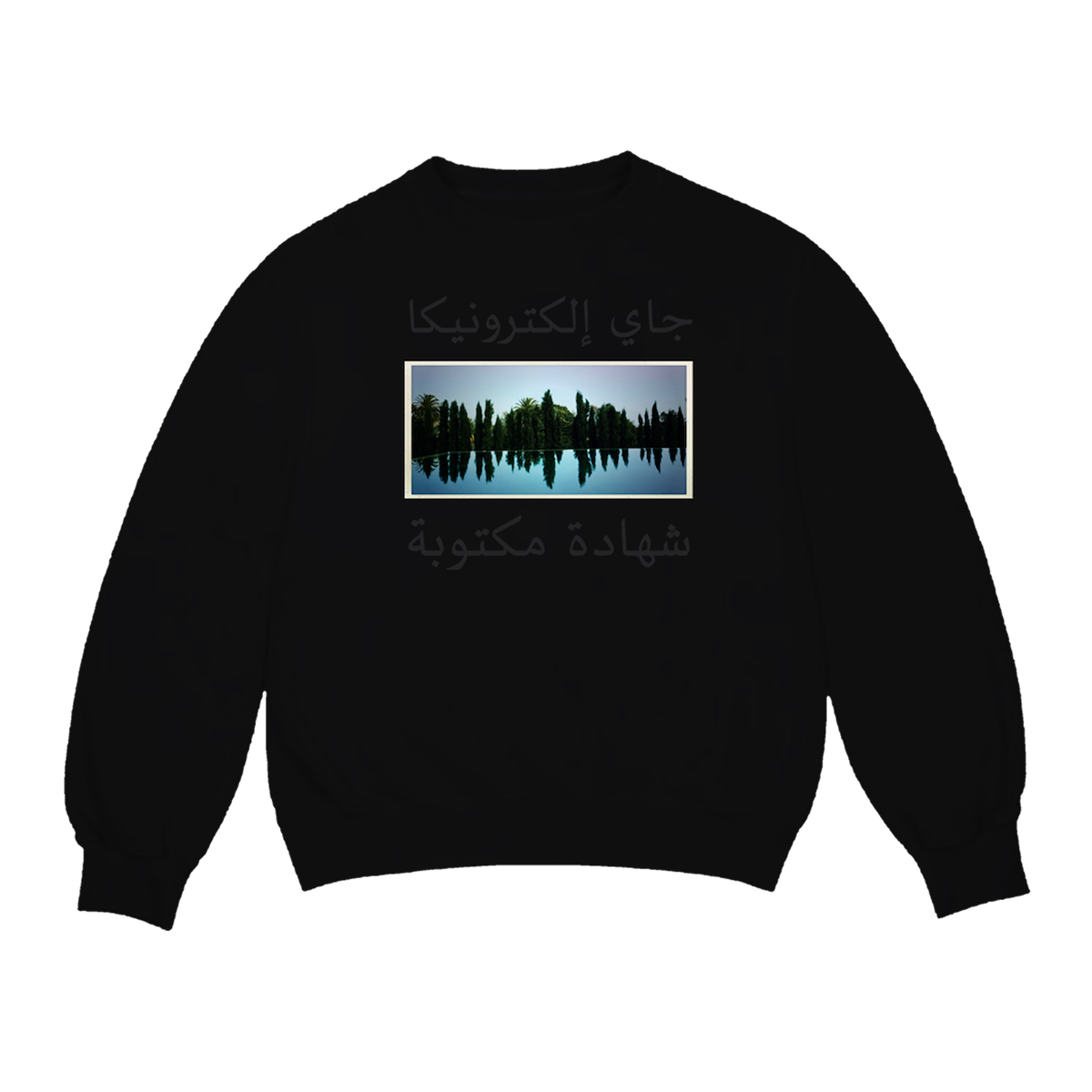 J A Y E L E C T R O N I C A: A Written Testimony - Crewneck (Black)