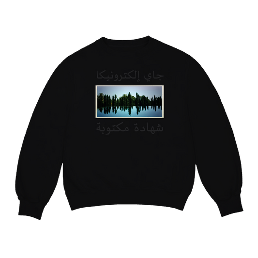 J A Y E L E C T R O N I C A: A Written Testimony - Crewneck (Black)