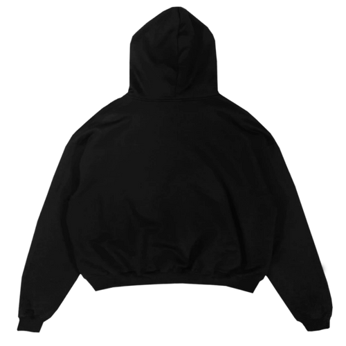 Flau'jae - Came Out A Beast Hoodie